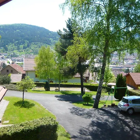Vakantiehuis Spacieux A Avec Terrasse Et Equipements Familiaux - Fr-1-589-65 Gérardmer